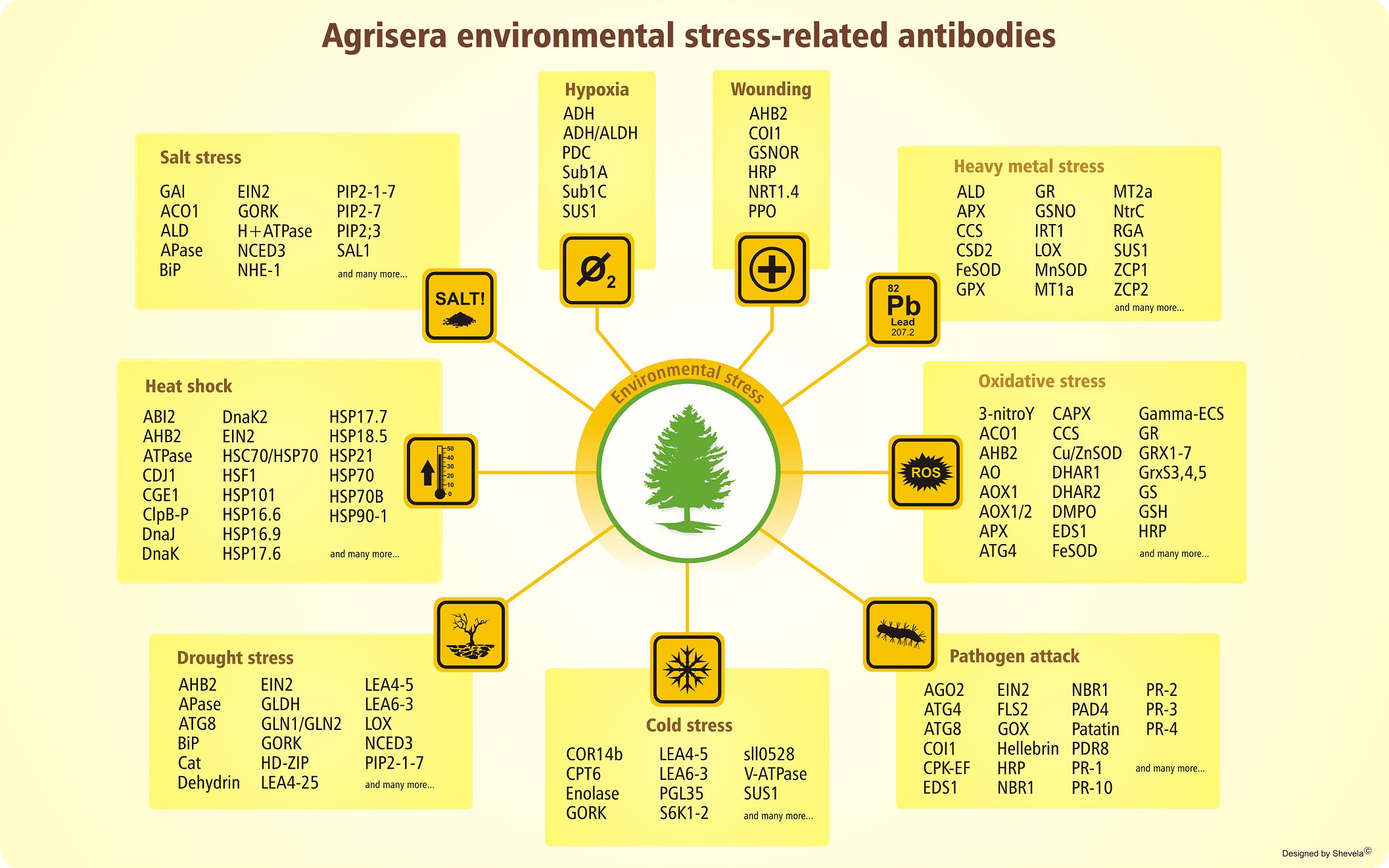 “逆境”前行—Agrisera 環境脅迫專題抗體